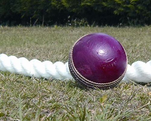 Polypropylene cricket boundary ropes - 20mm White x 220m Coil